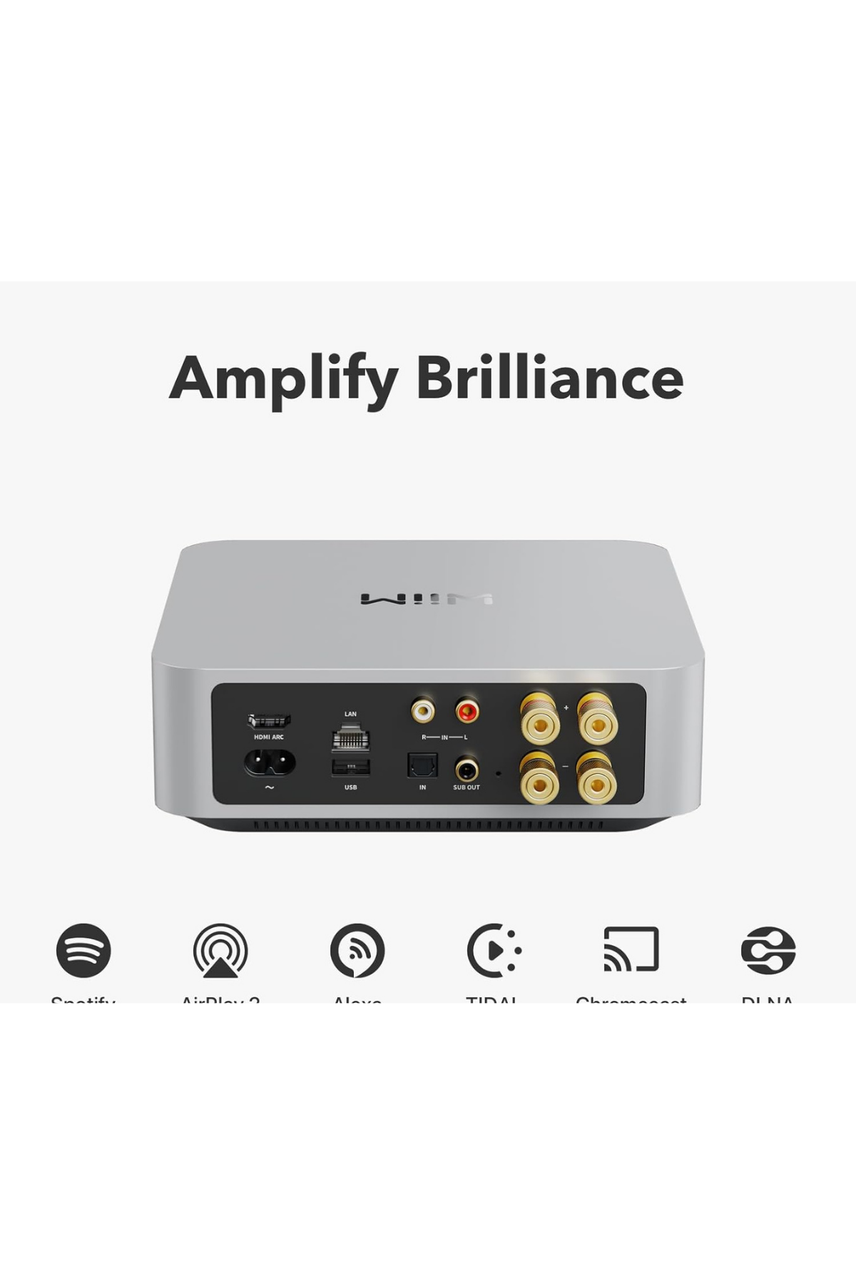 WiiM Amp Network Stereo Amplifikatör Gümüş