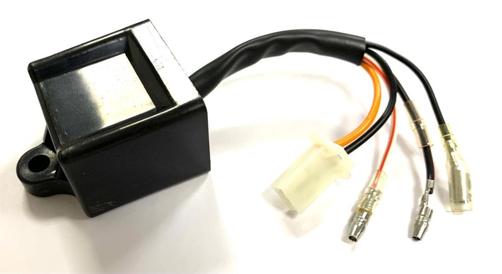 BWS 100 CDI BEYİN E.M