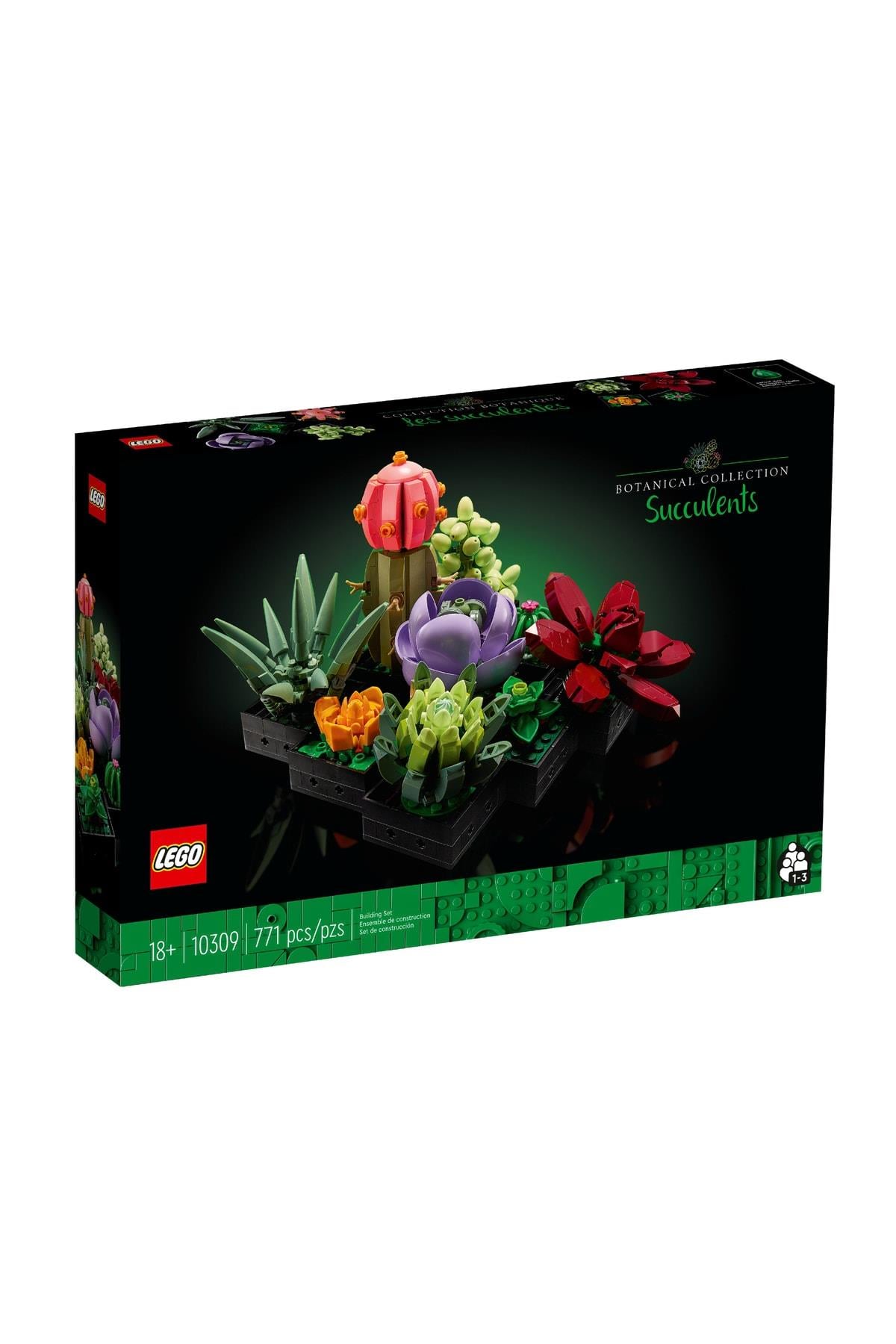Creator Sukulentler/ Succulents 10309