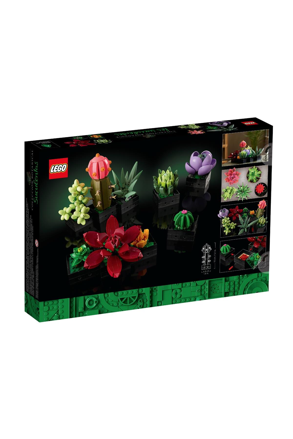 Creator Sukulentler/ Succulents 10309