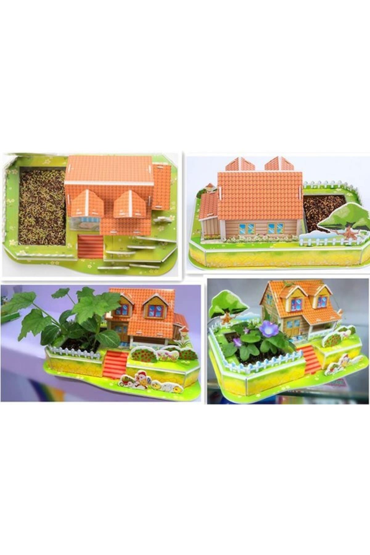 Love Garden