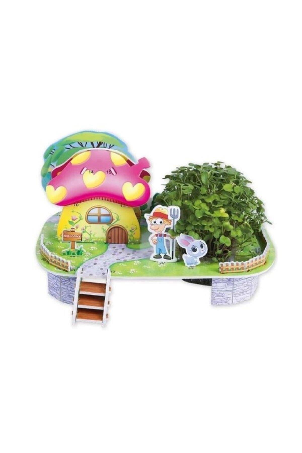 Mushroom House