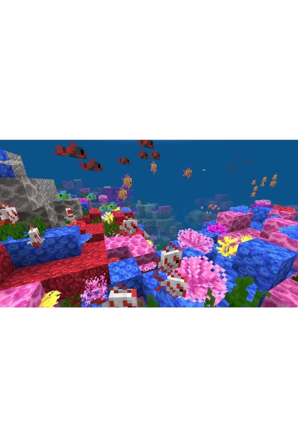 Ps4 Minecraft: Starter Collection