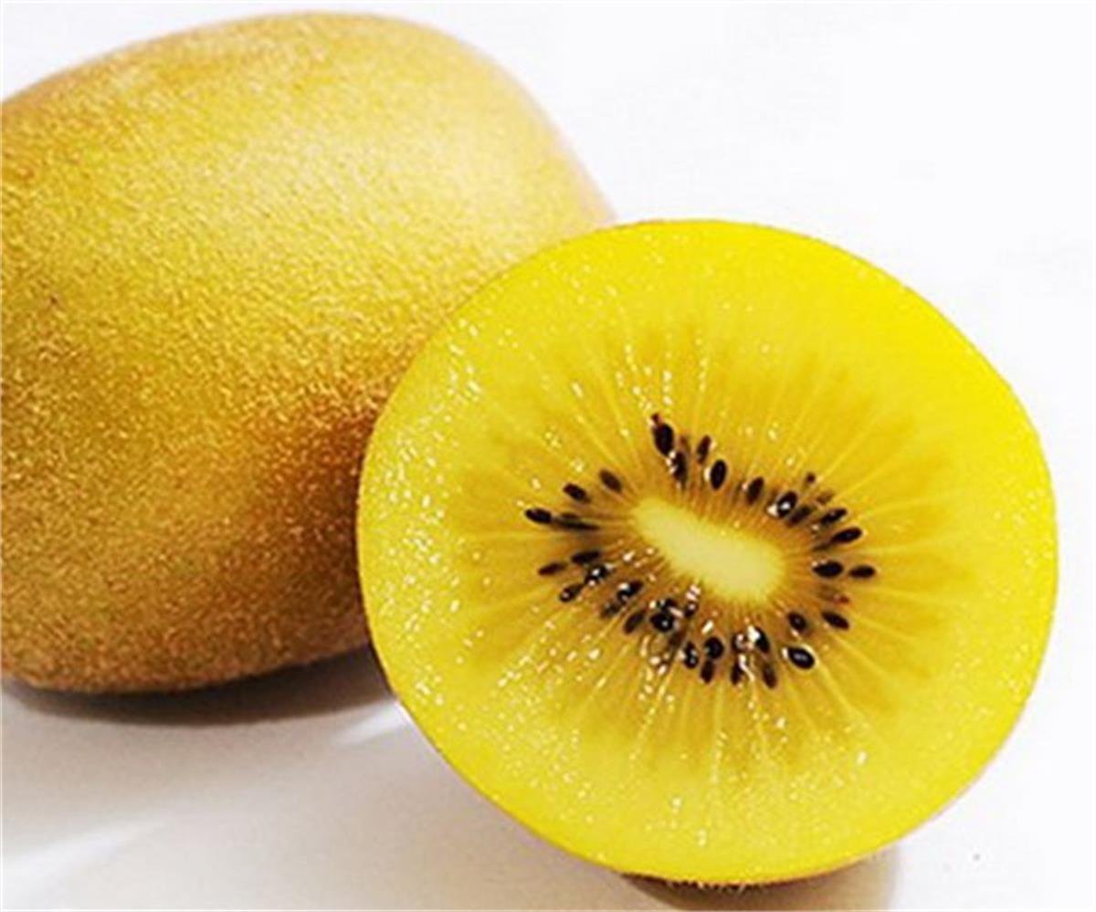 Actinidia chinensis Golden delight Kiwi altın kivi fidanı