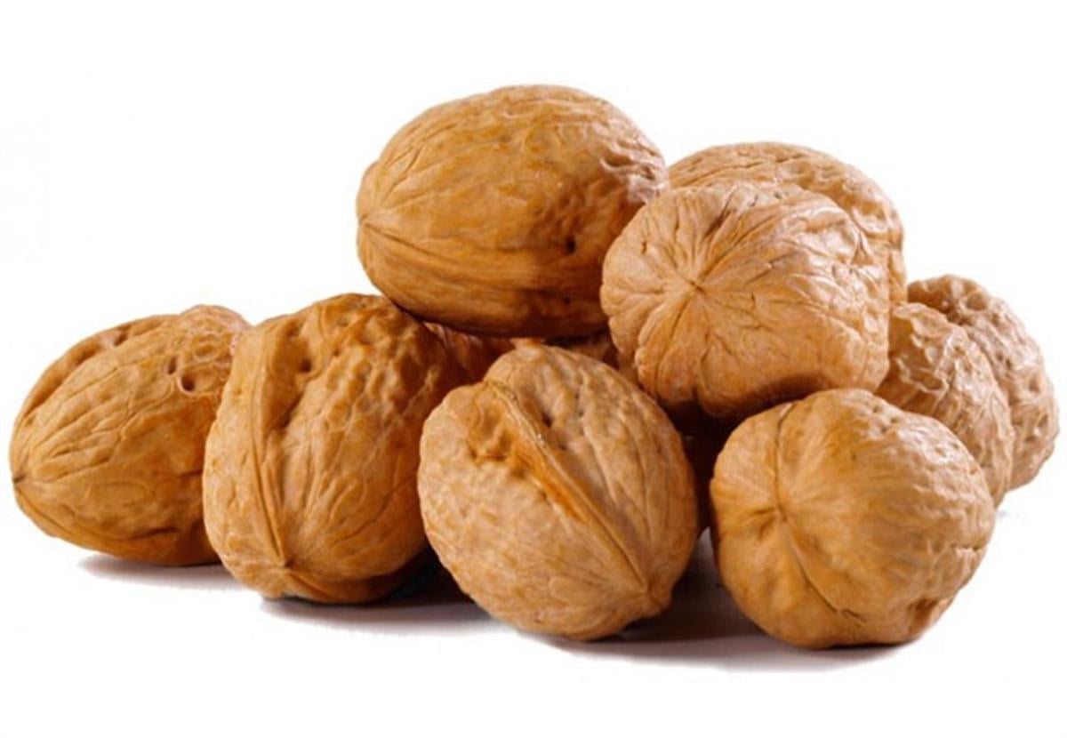 Juglans regia Fernor Ceviz fidanı