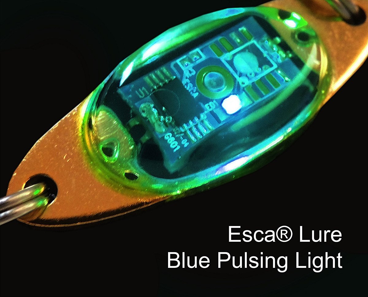 ESCA Blue Multi Blink, with Hook