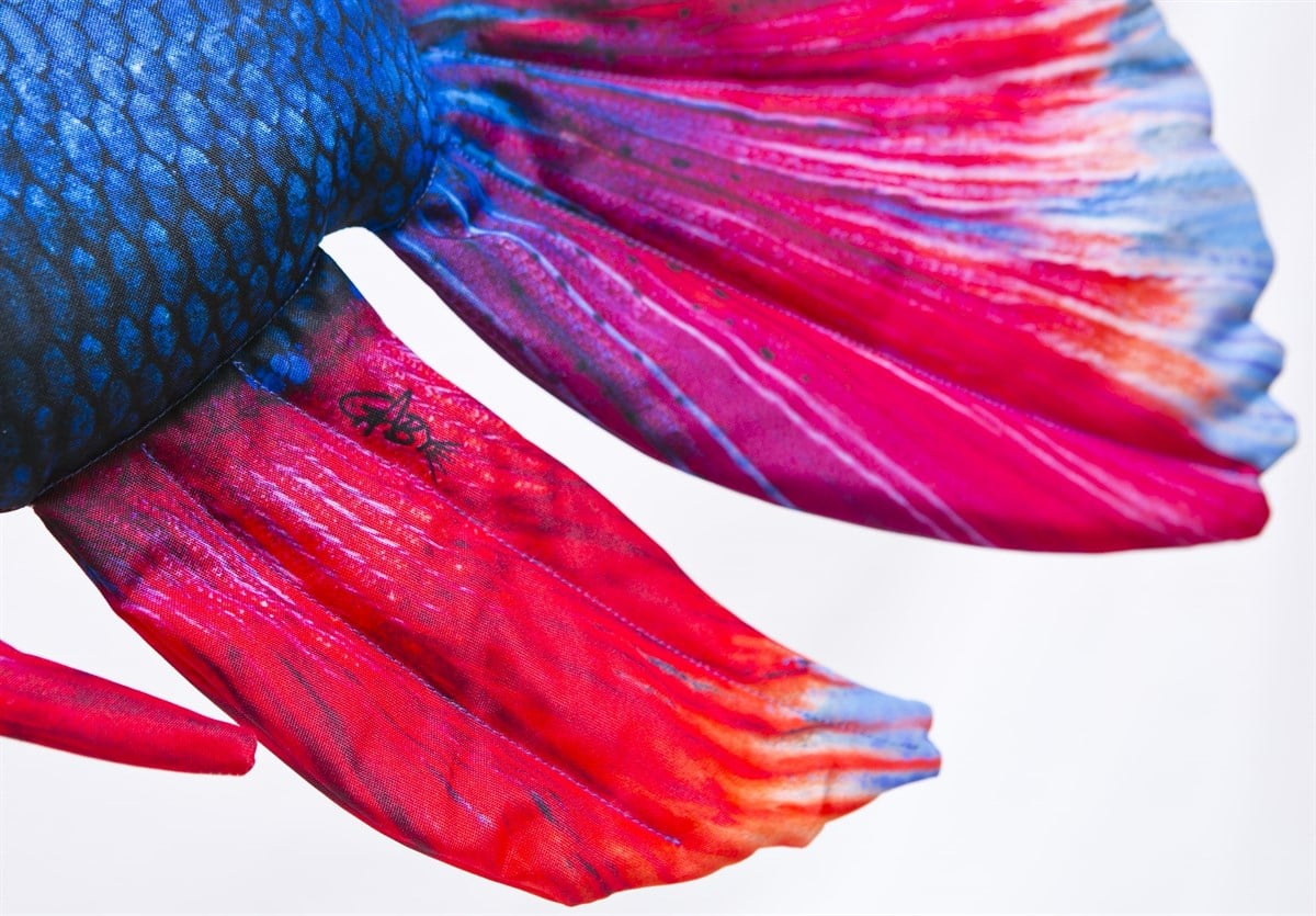 GABY FISH BETTA SPLENDENS 53cm
