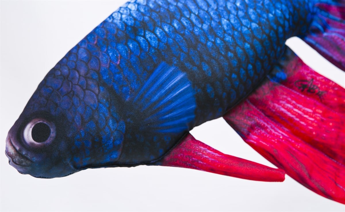 GABY FISH BETTA SPLENDENS 53cm