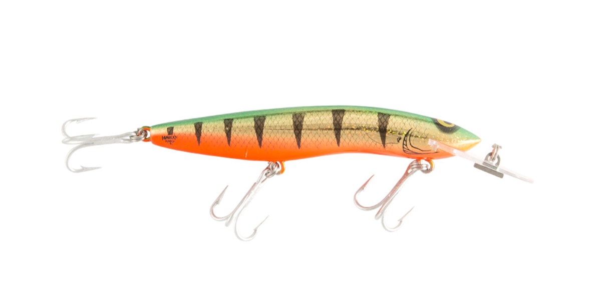 HALCO SORCERER 125STD 3M+