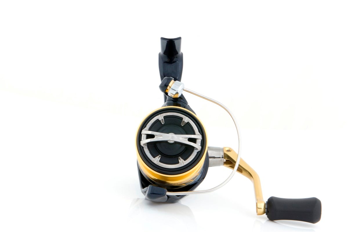 SHIMANO Nasci 5000 FB XG