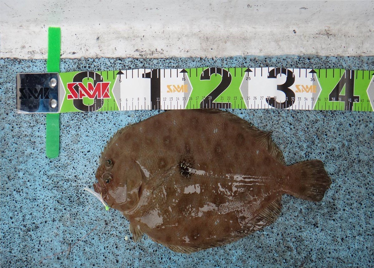 SAME Fishing Measure 120cm