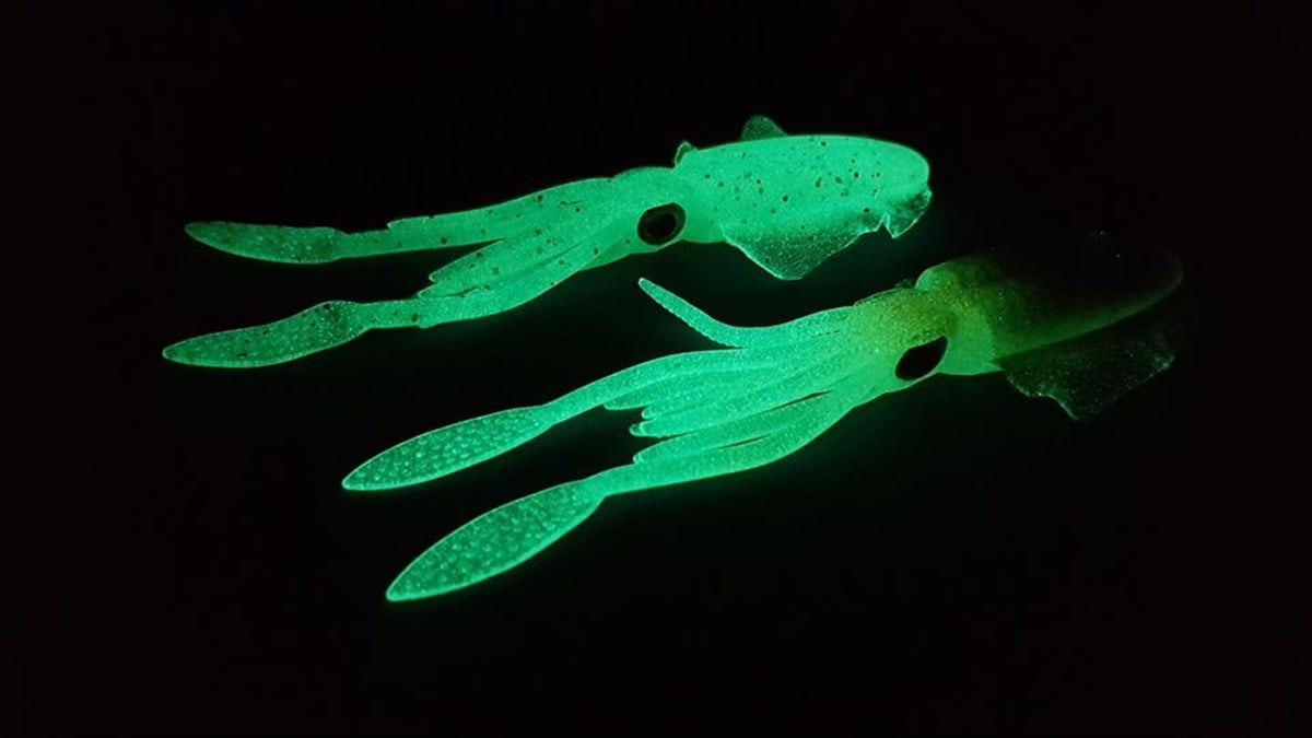 SAME MEGA Squid 14,5cm 5.7
