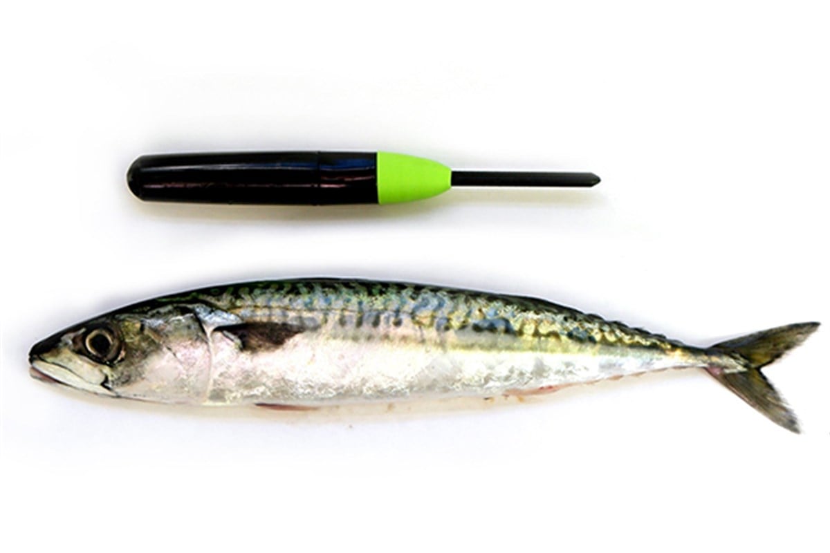 ZOMBAIT Starter Pack Premium (3-Pack)