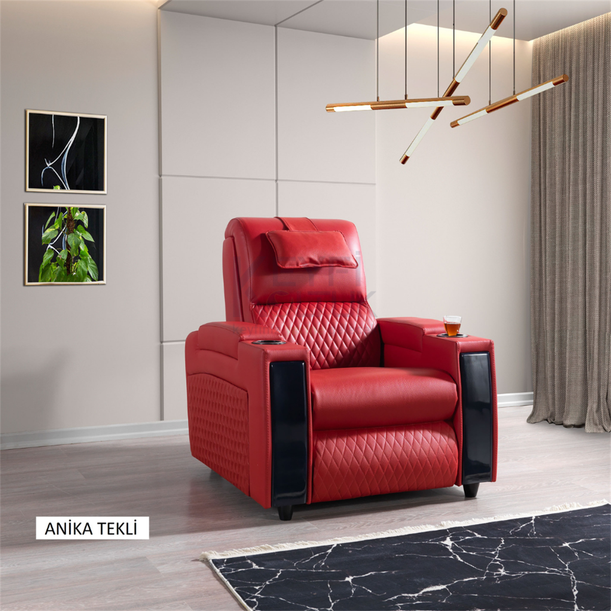 Anika Vip Tekli Sinema Koltuğu