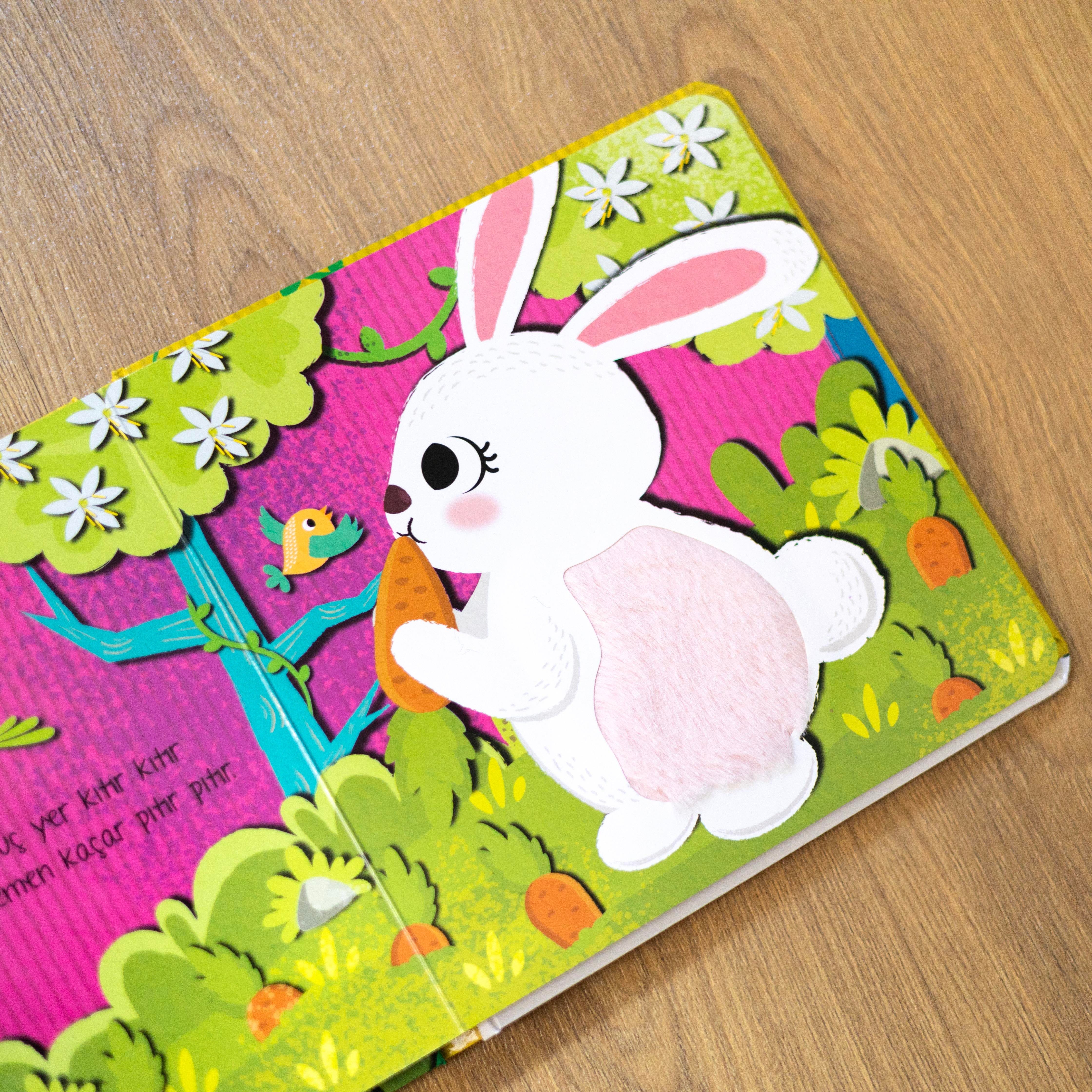 Dokun & Hisset - Minik Unicorn Gezintide