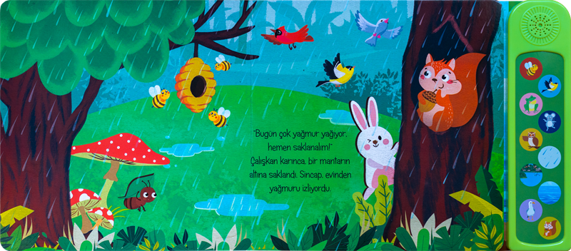 Haydi Sesimi Dinle - Doğada