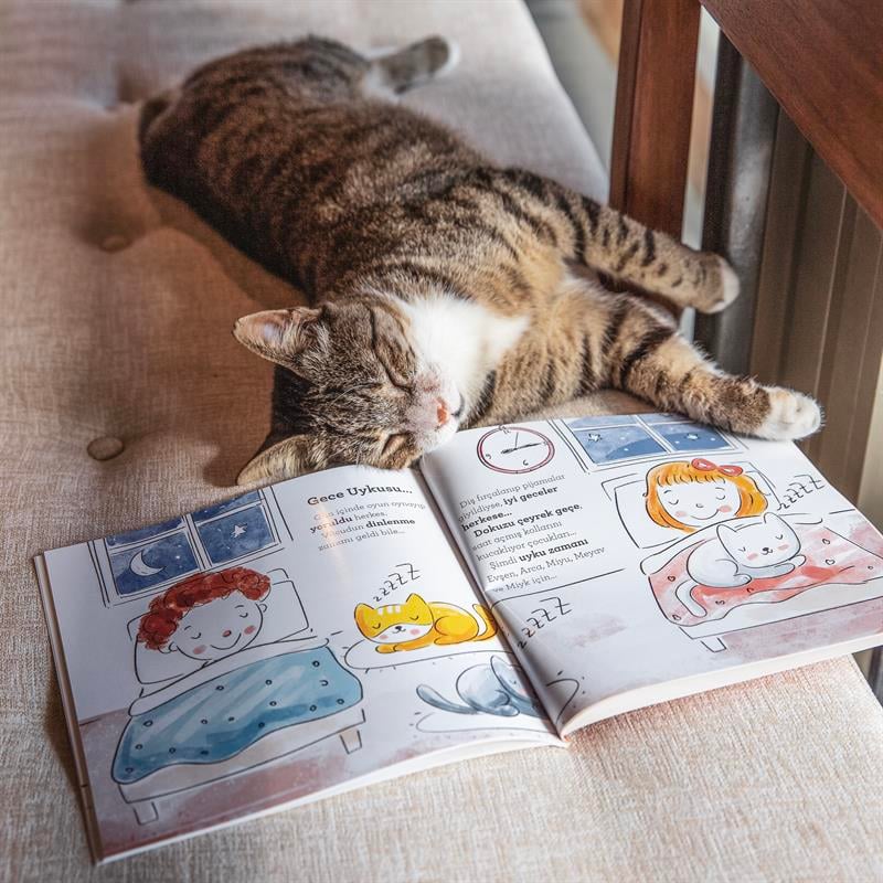 İŞTE BENİM BİR GÜNÜM