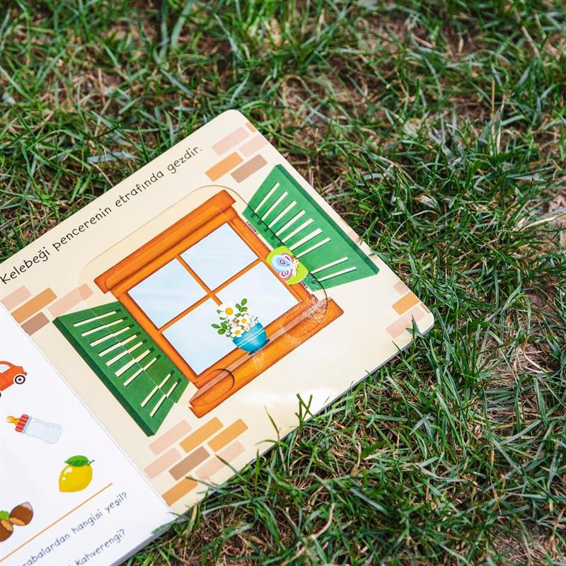 Renkler ve Şekiller