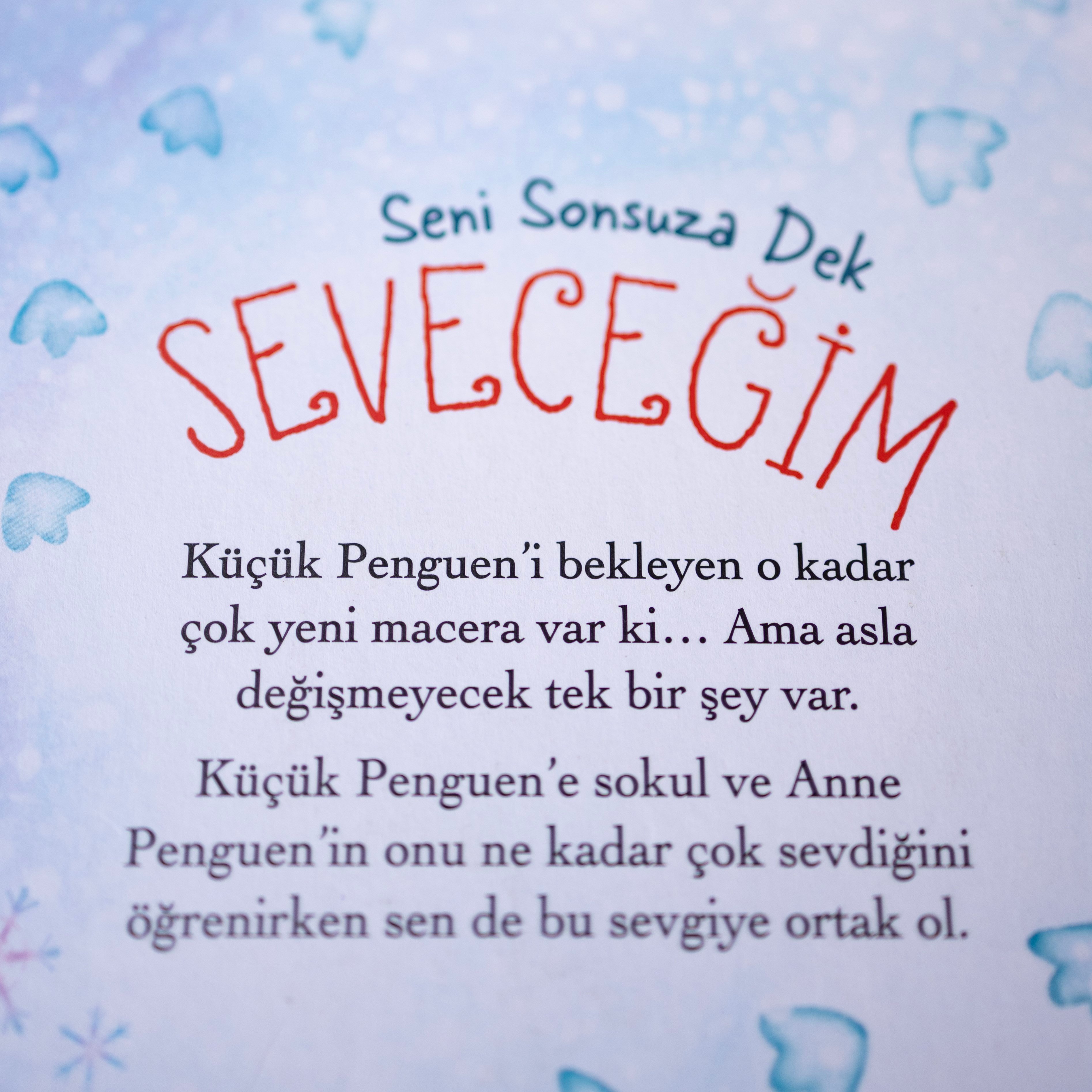 Seni Sonsuza Dek Seveceğim 