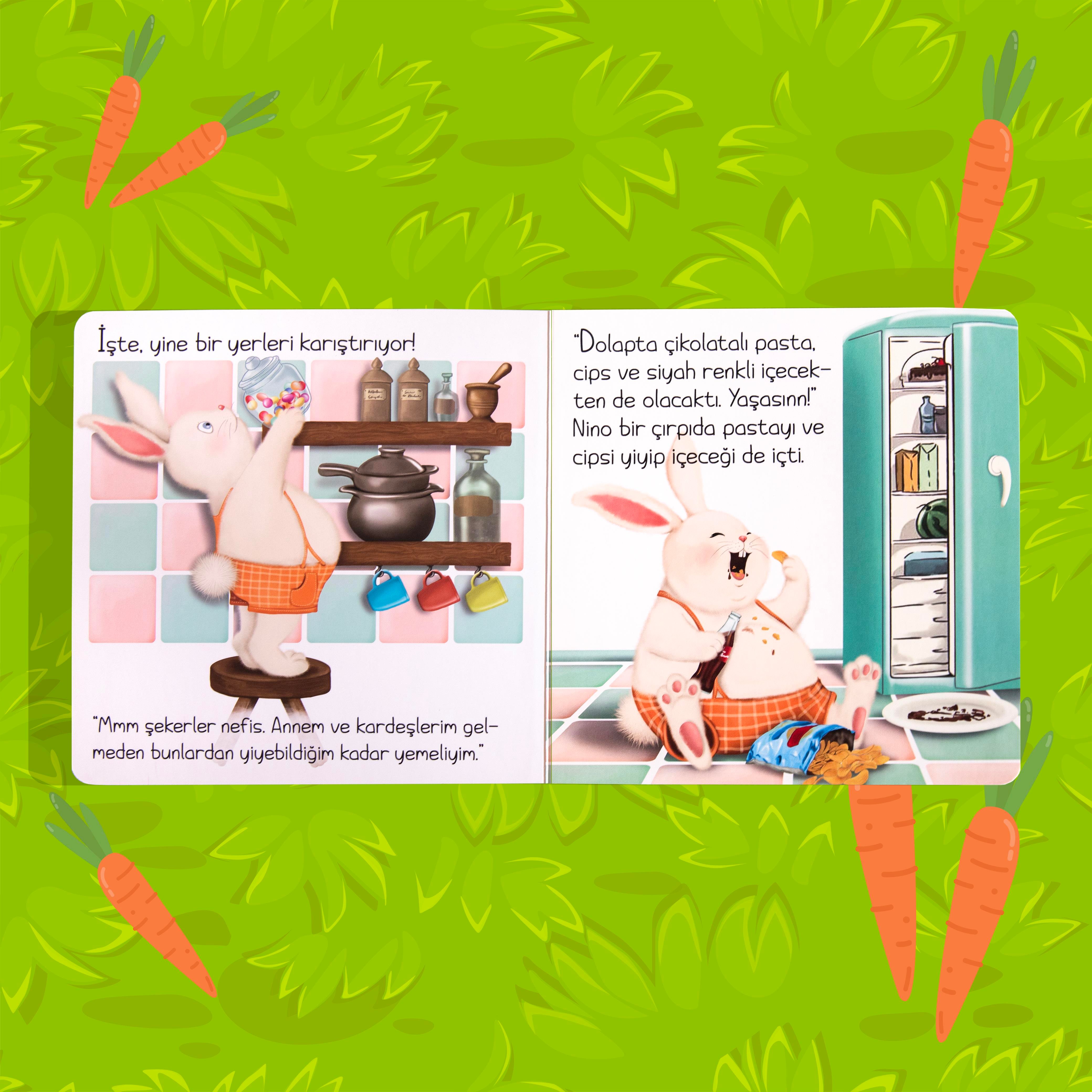 TOMBİK TAVŞAN NİNO 