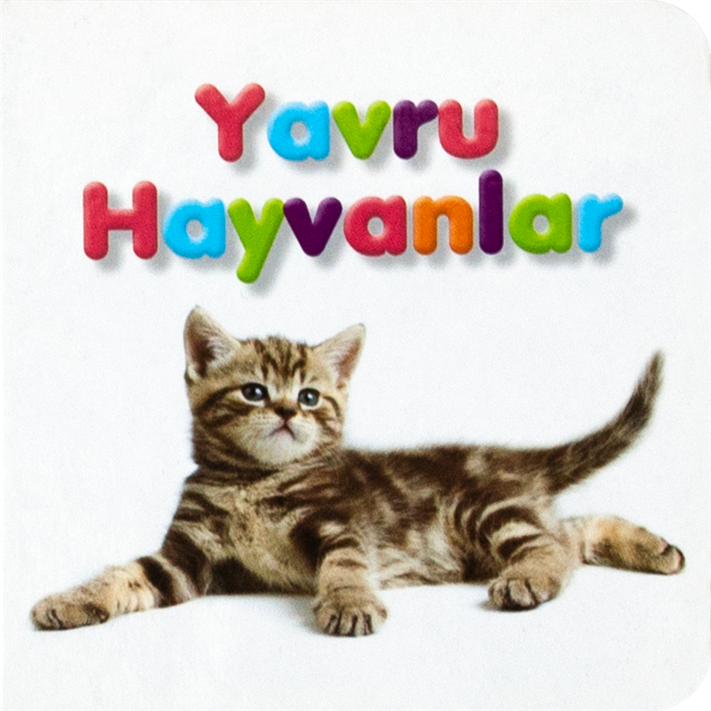 Yavru Hayvanlar