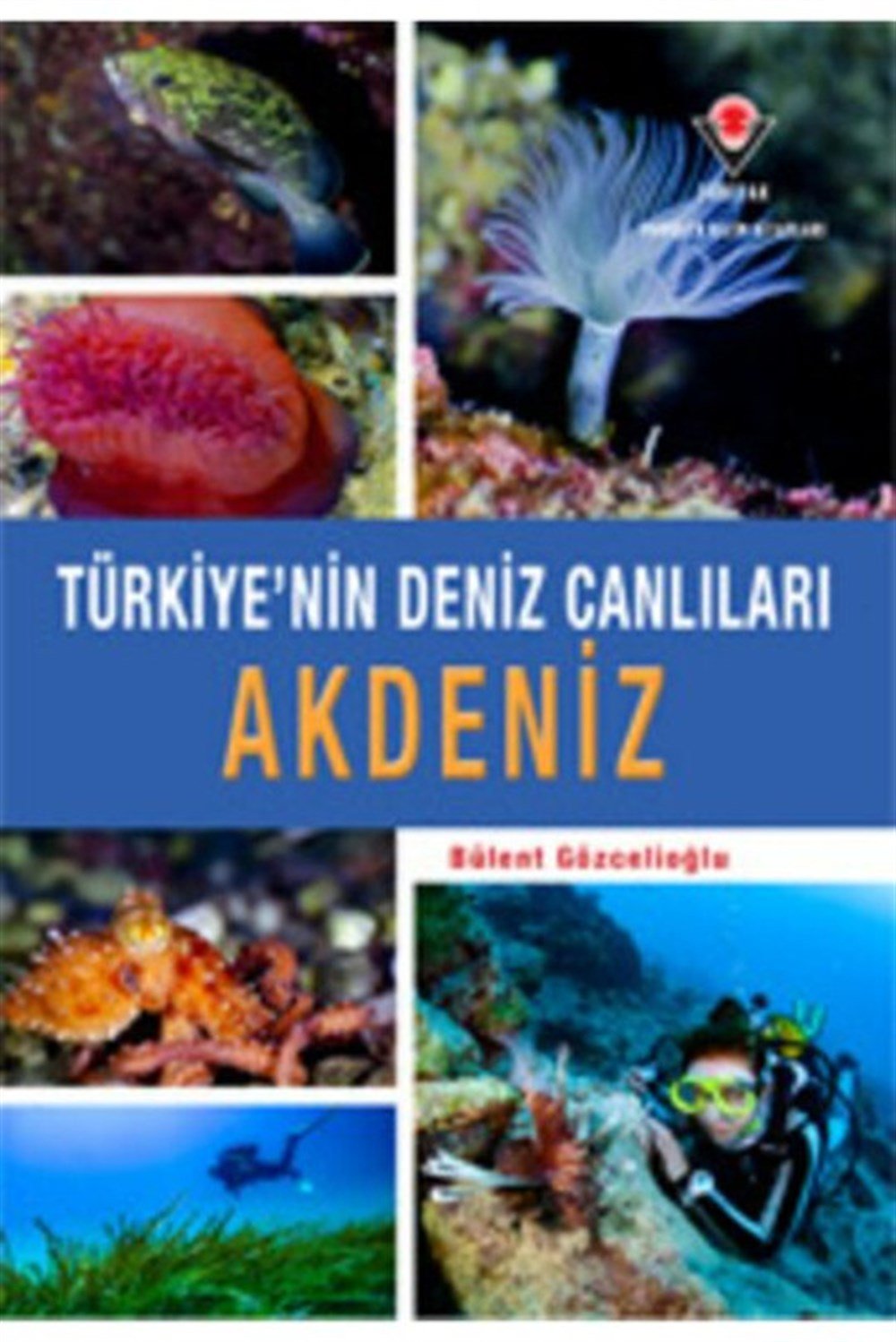 Akdeniz Türkiye'nin Deniz Canlıları