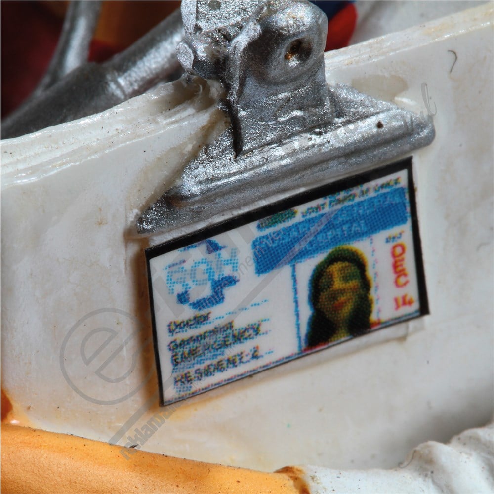 Bayan doktor biblosu