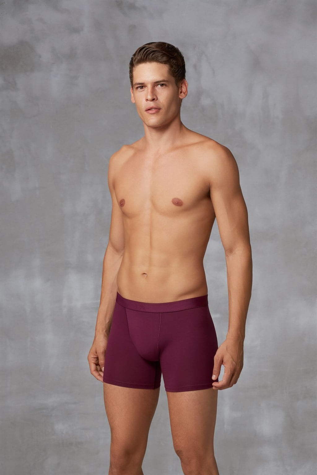 DOREANSE Erkek 3 lü Boxer 1742