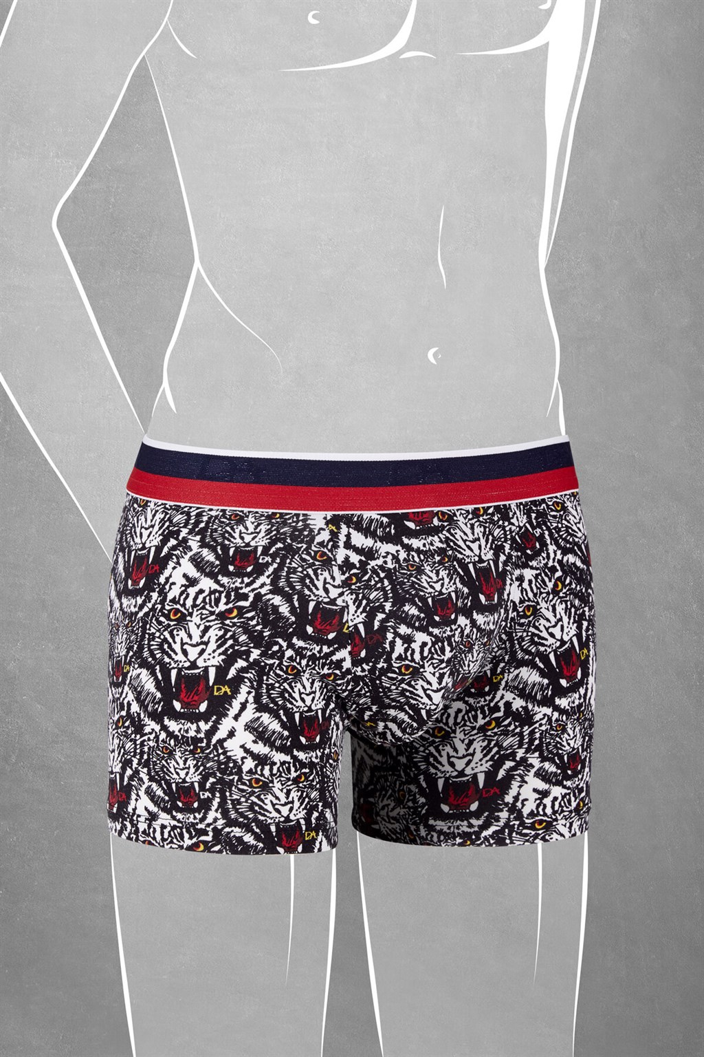 DOREANSE Erkek Çocuk Boxer 610