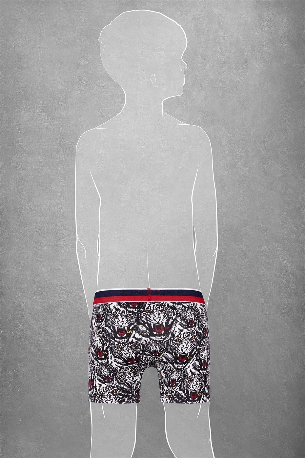 DOREANSE Erkek Çocuk Boxer 610