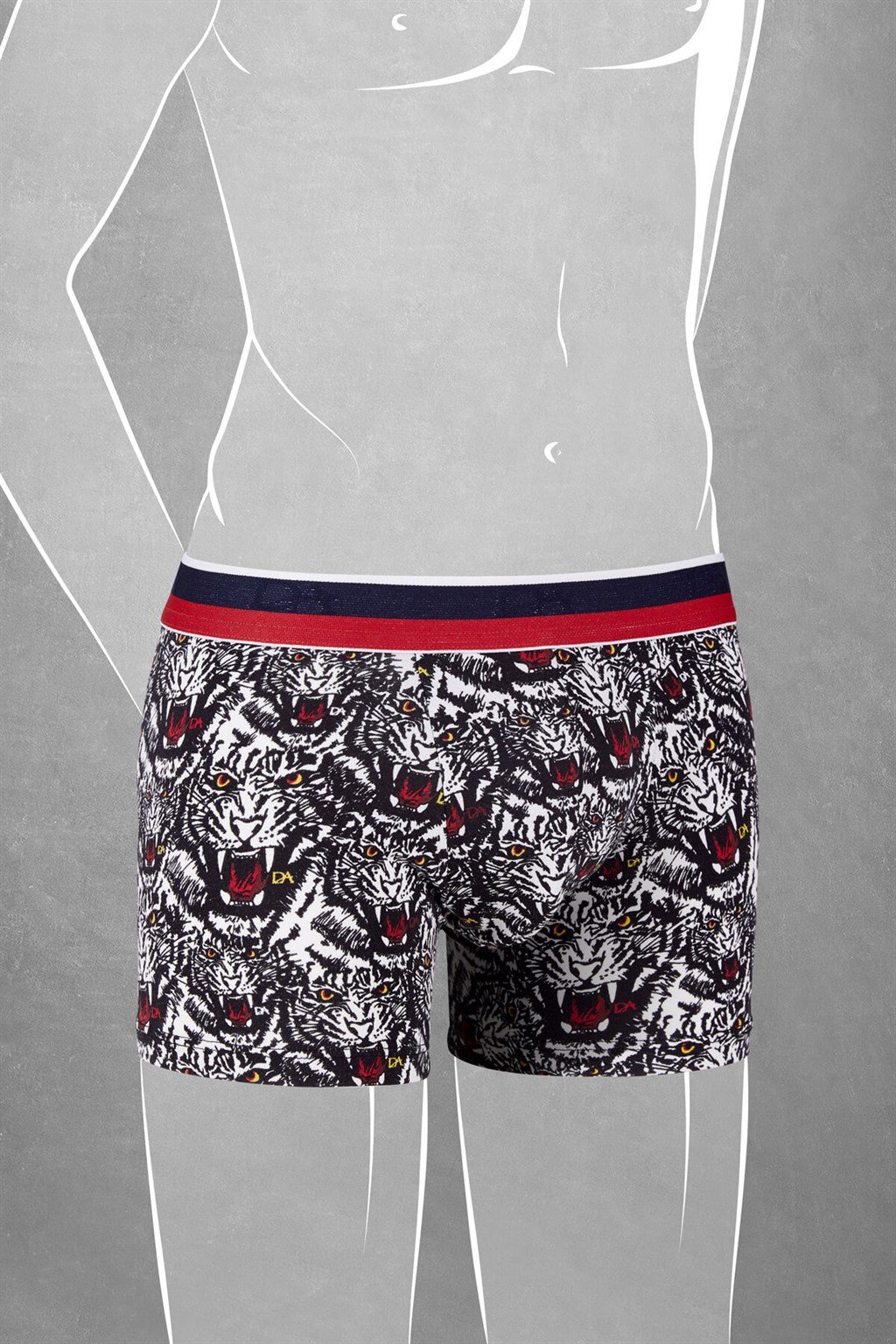 DOREANSE Erkek Çocuk Boxer 610