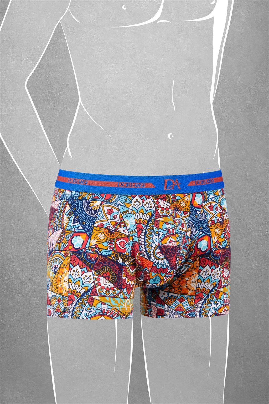 DOREANSE Erkek Çocuk Boxer 613