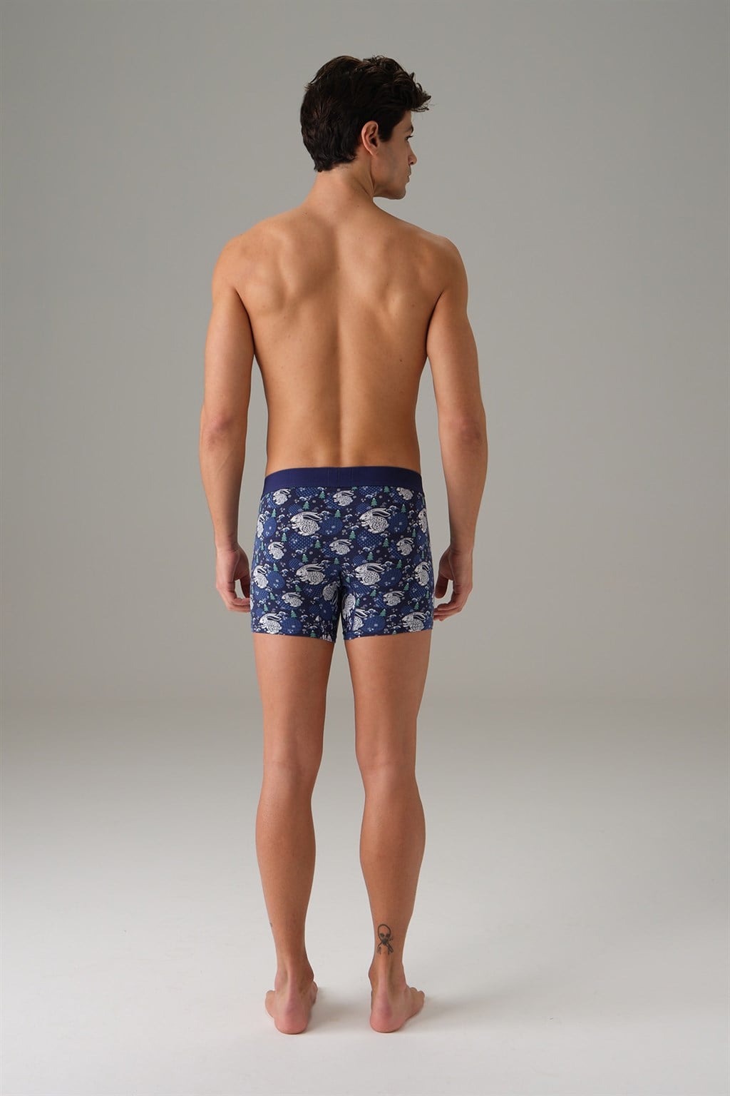 DOREANSE Erkek Mavi Yılbaşı Tema Tavşan Baskılı Boxer 1732