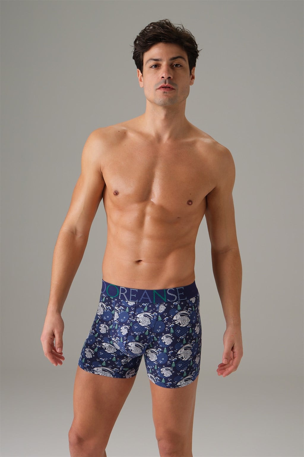 DOREANSE Erkek Mavi Yılbaşı Tema Tavşan Baskılı Boxer 1732