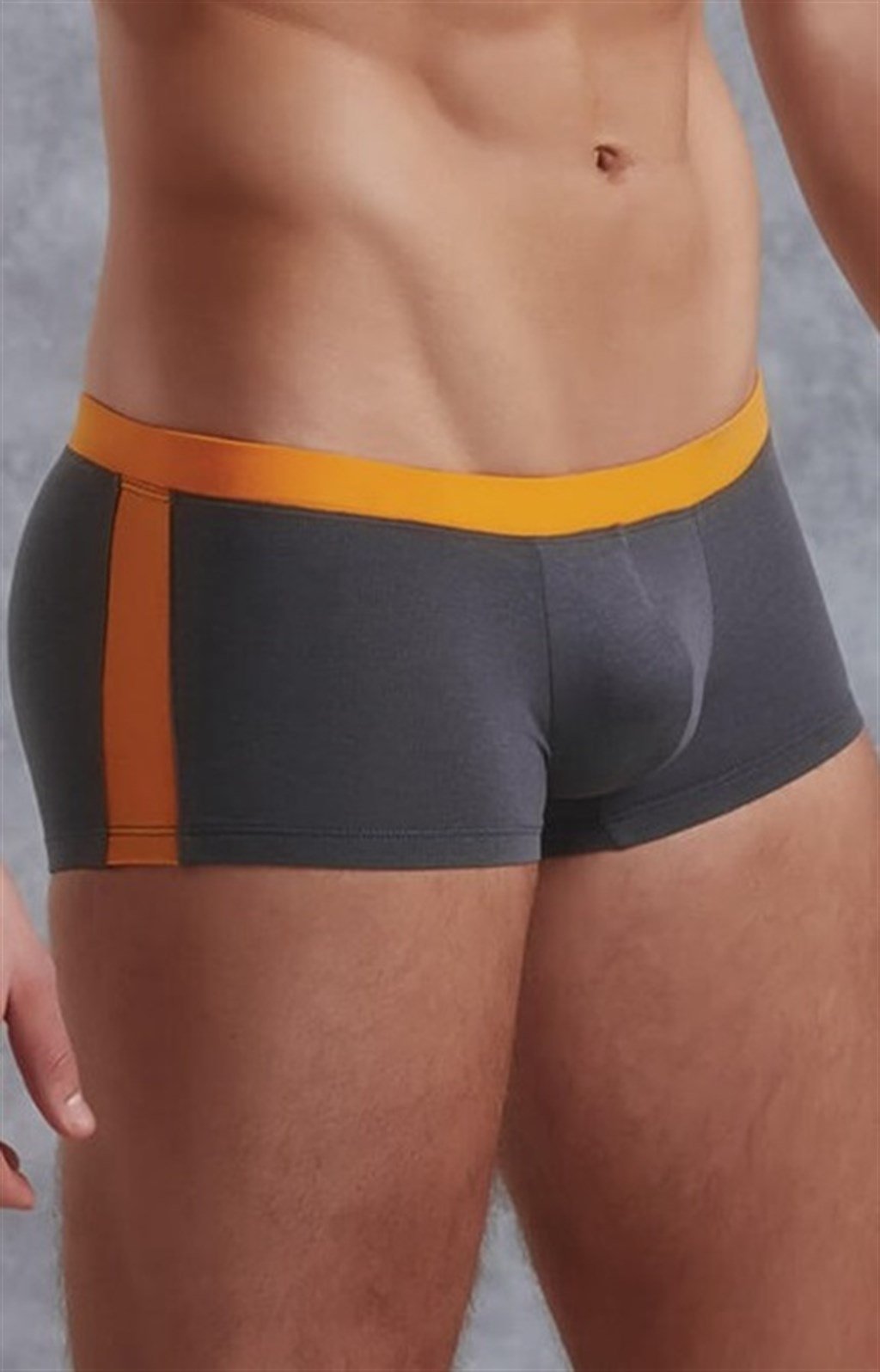 Doreanse Erkek Modal Antrasit Torbalı  Mini Paça Boxer 1744