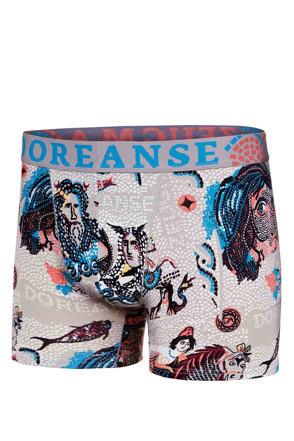 Doreanse Erkek Modal Çok Renkli Baskılı Torbalı  Normal Paça Boxer 1806