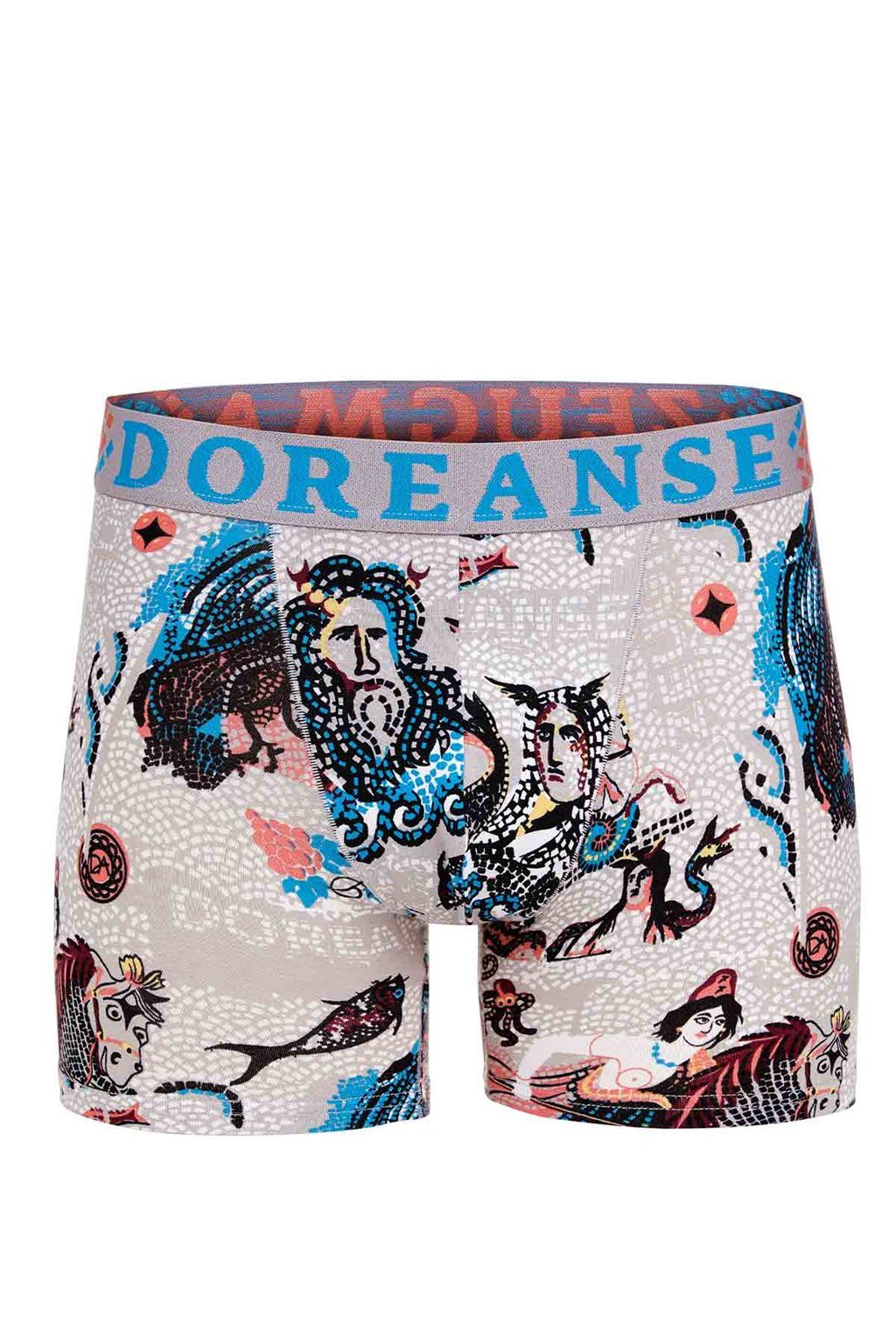 Doreanse Erkek Modal Çok Renkli Baskılı Torbalı  Normal Paça Boxer 1806