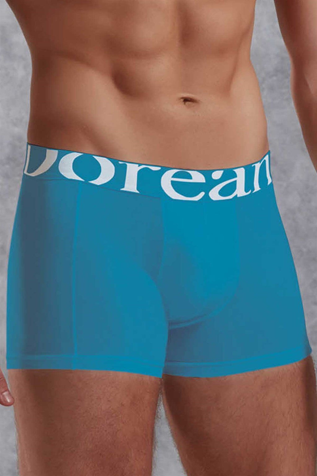 Doreanse Erkek Modal Torbalı  Normal Paça Boxer 1777