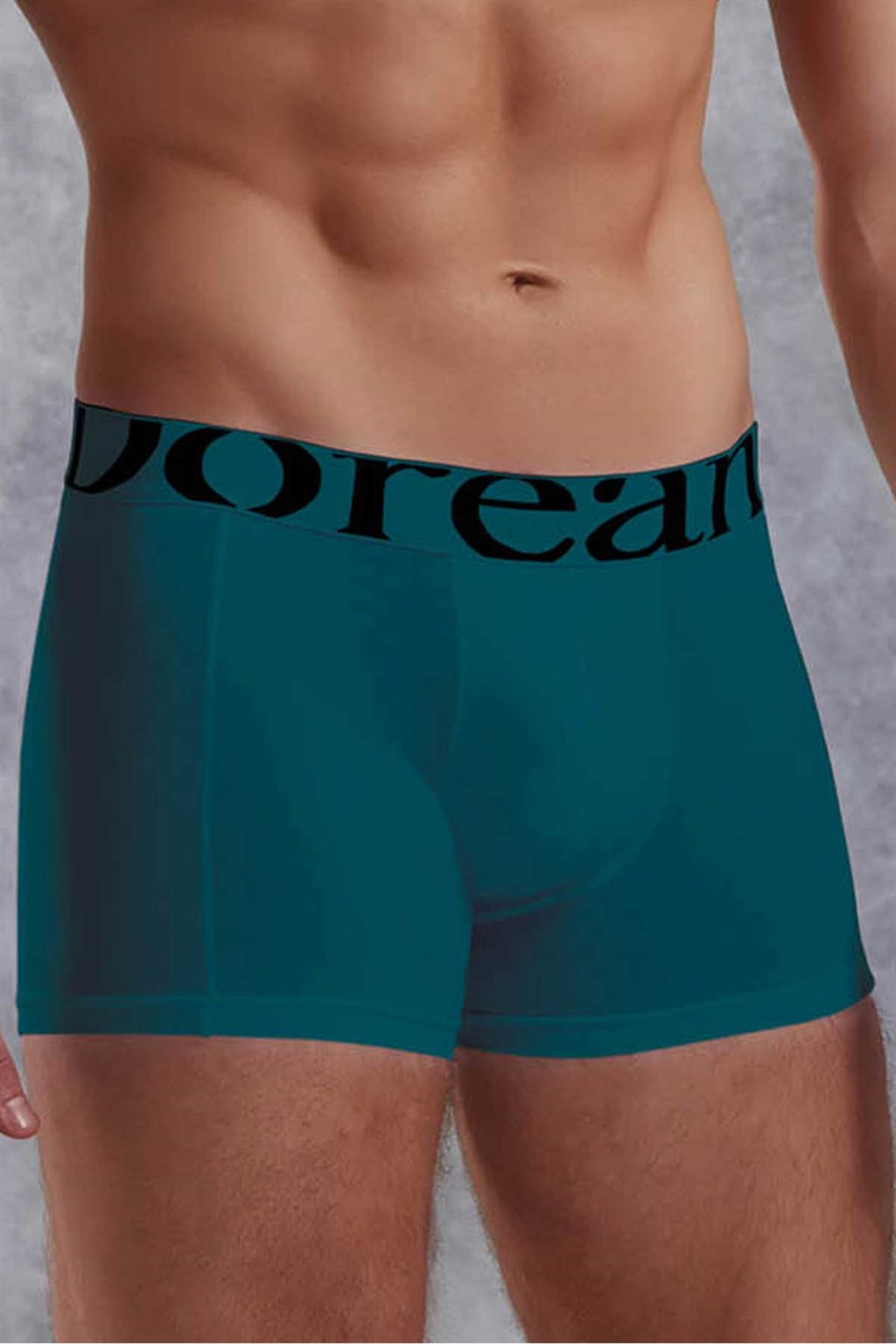 Doreanse Erkek Modal Torbalı  Normal Paça Boxer 1777