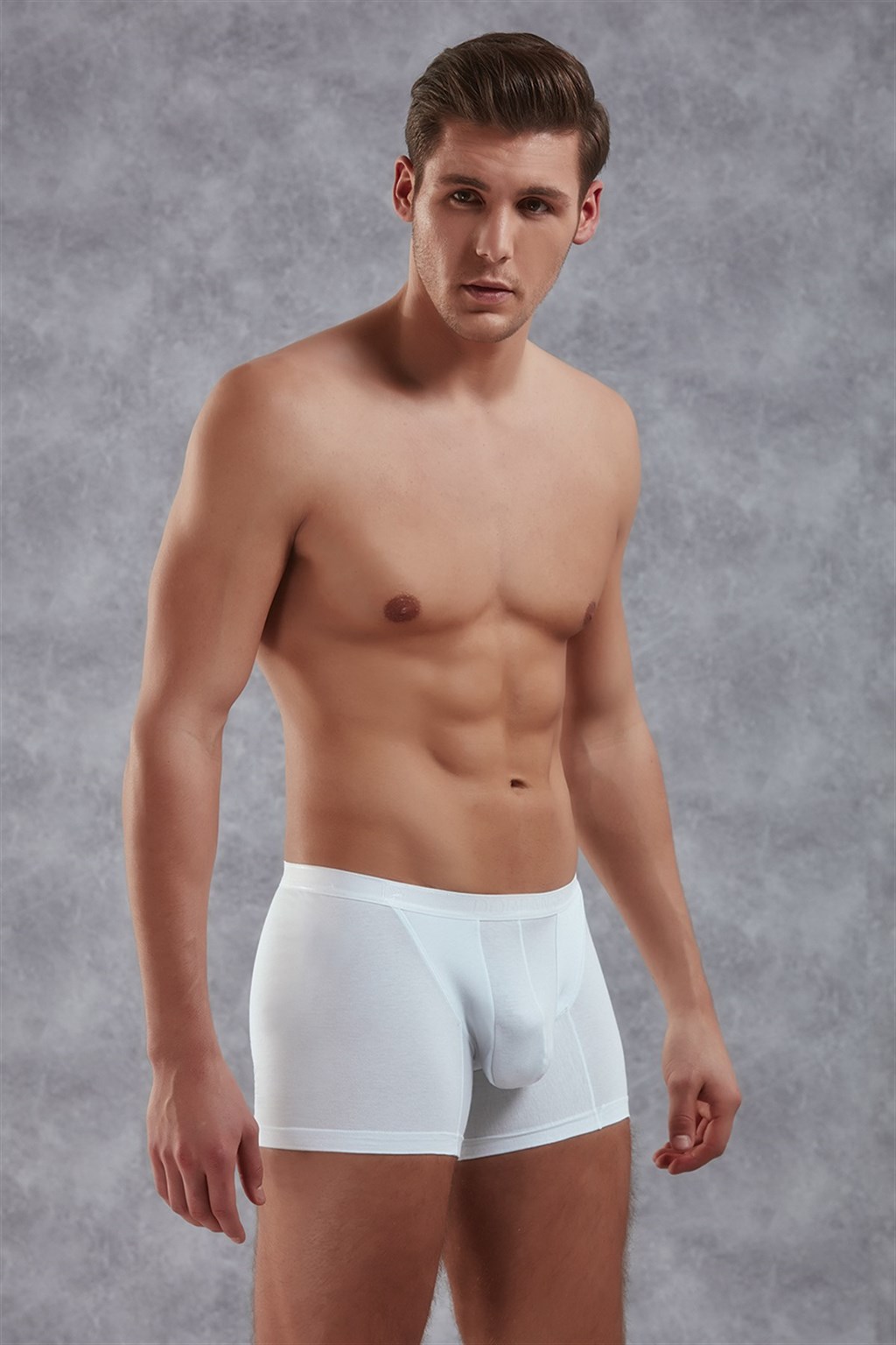 Doreanse Erkek Modal Torbalı İnce Bel Bantlı  Normal Paça Boxer 1770