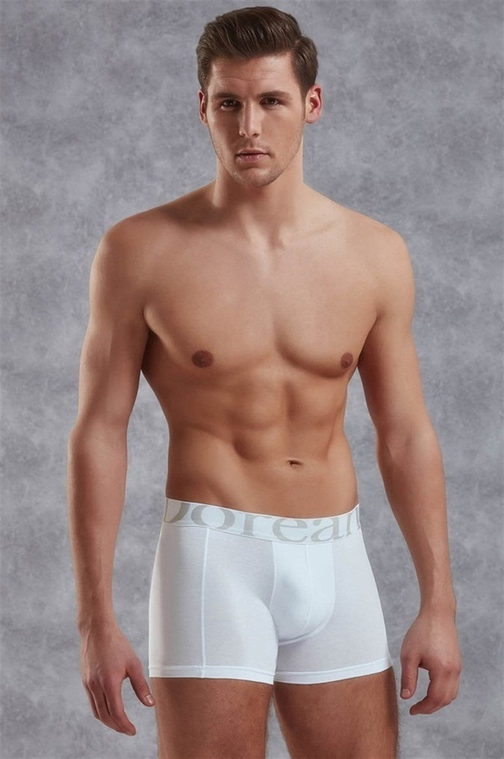 Doreanse Erkek Modal Torbalı  Normal Paça Boxer 1777