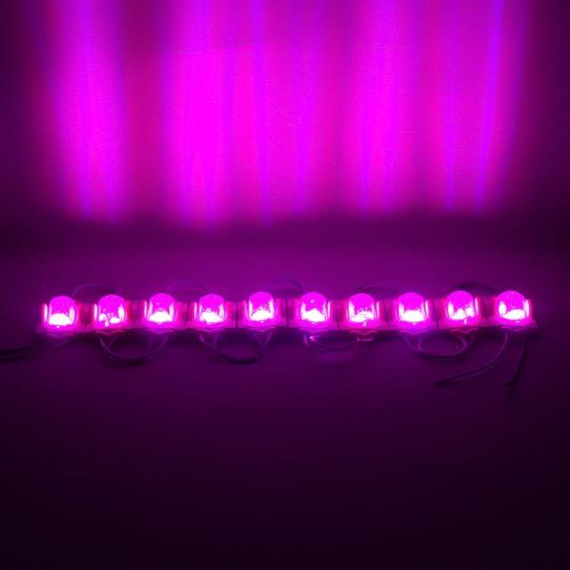Powermaster Pembe 24 Volt 1.4 Watt 2835 Modül Led 48*30