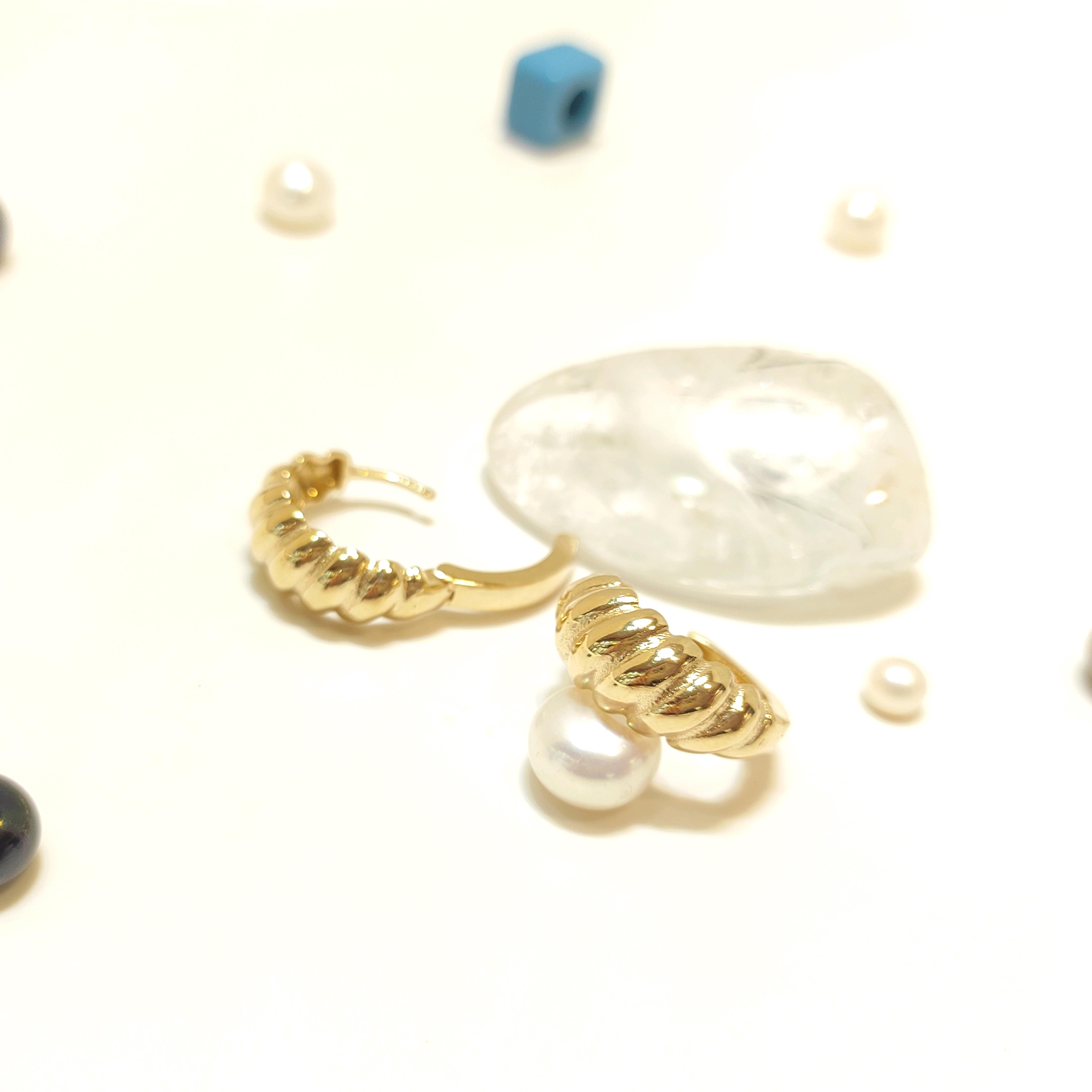 16.5mm İstiridye Halka Hagi Küpe 14 Ayar Altın HD VİDEOLU