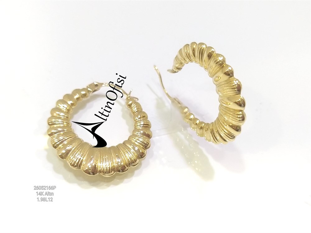 İstiridye Halka Küpe 14 Ayar Altın