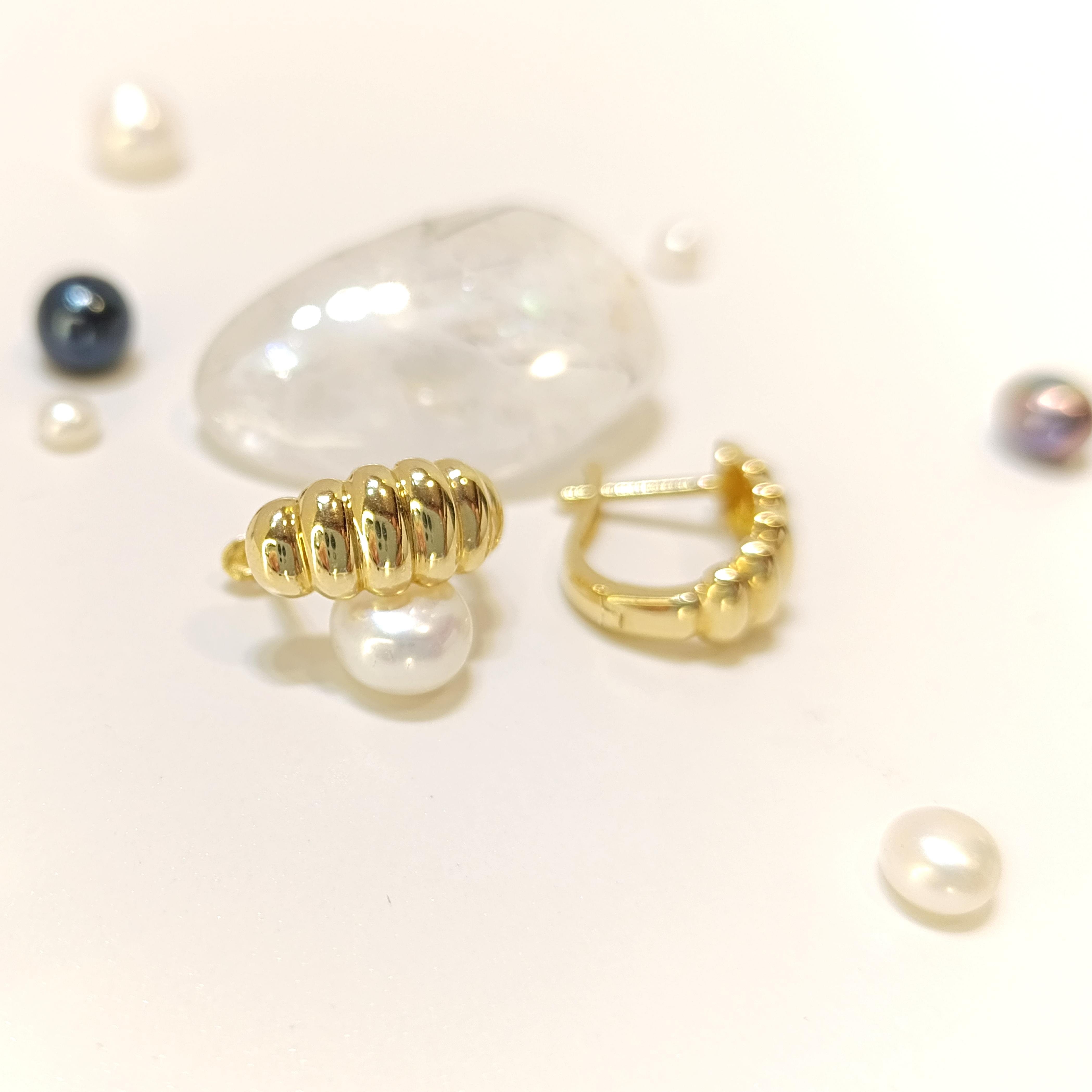 İstiridye Paraşüt Küpe 14 Ayar Altın HD VİDEOLU