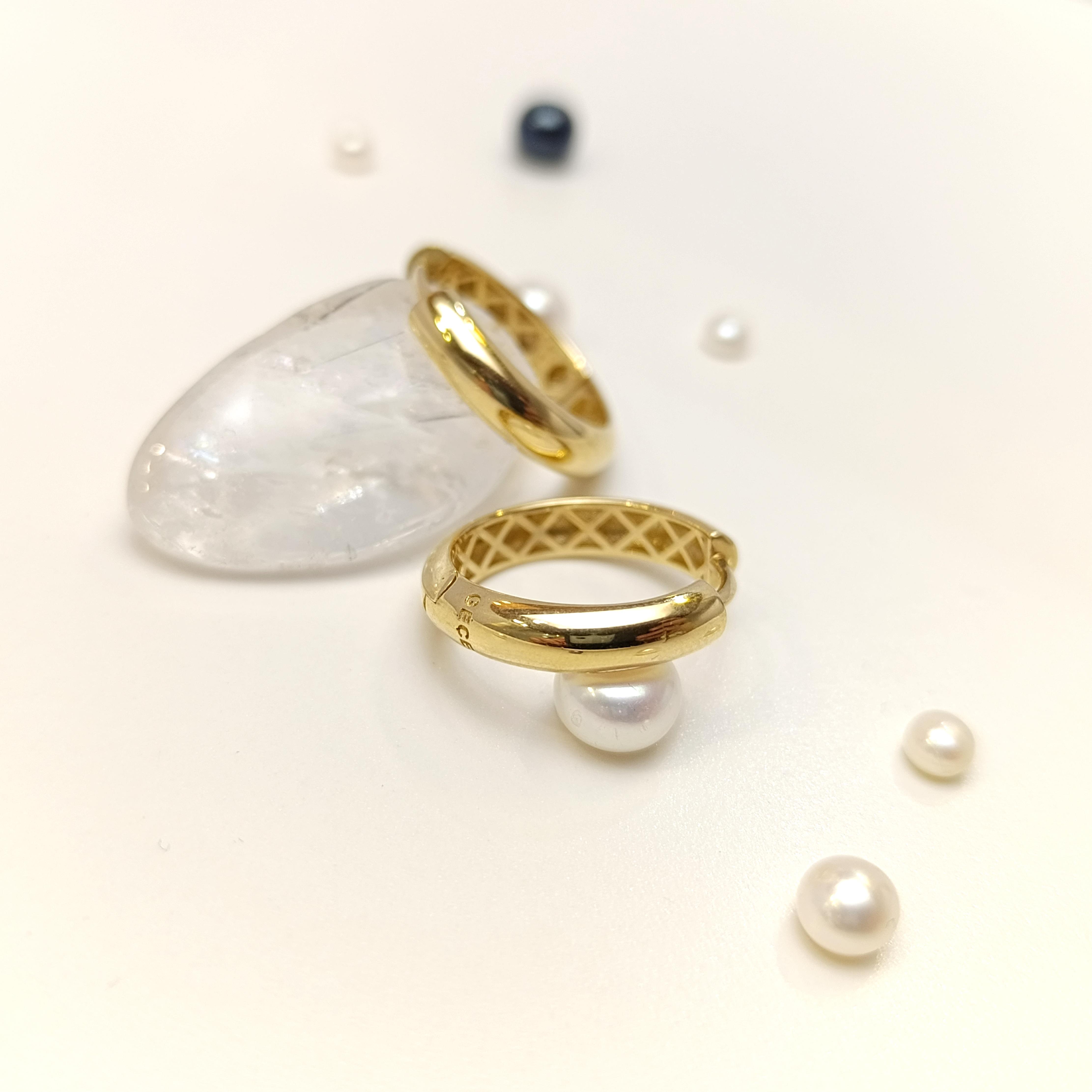 Klasik Halka Küpe 14 Ayar Altın HD VİDEOLU