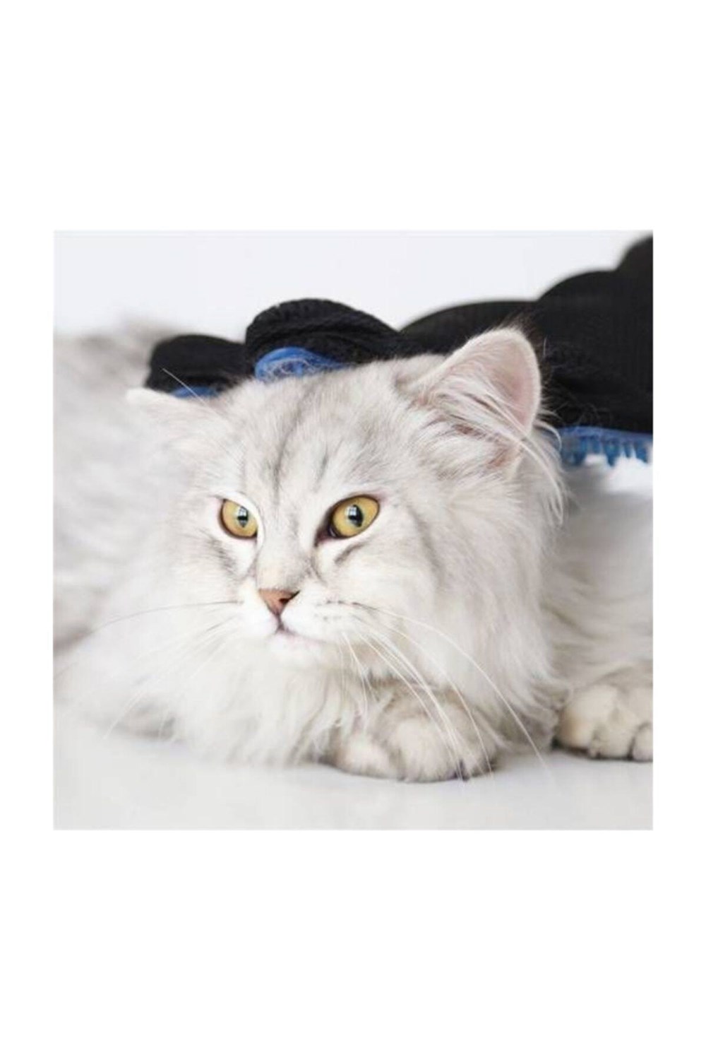 Kedi Köpek Tüy Toplayıcı Eldiven Evcil Hayvan Tüy Toplama Eldiven