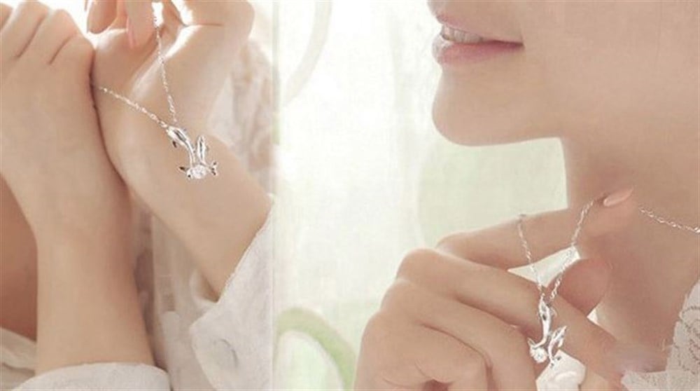 Taşlı İkili Yunus Kolye