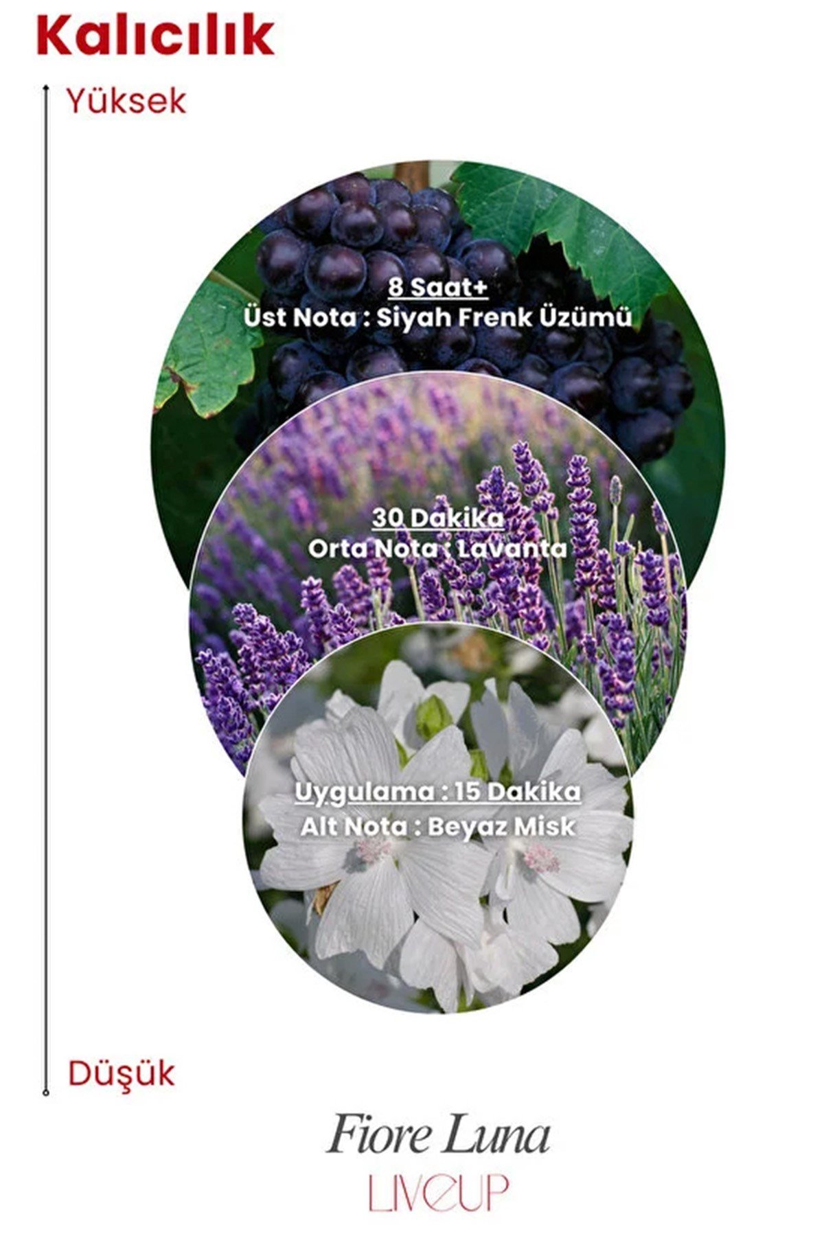 Niche Serisi Fiore Luna Kadın Parfümü 100ml | Meyveli, Çiçeksi, Tutkulu | EDP For Women 100ml
