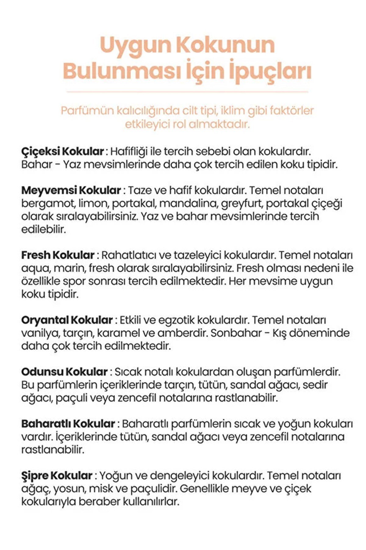 Niche Serisi Gladio Erkek Parfümü 100ml | Modern, Tatlı, Karizmatik | EDP For Men 100ml